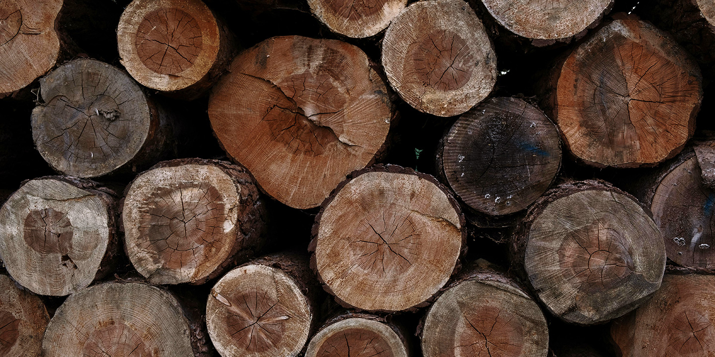 stack of logs