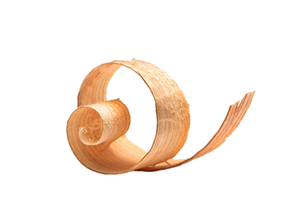 wood shaving curl